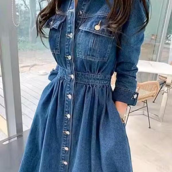 Western Stylish Denim Dress