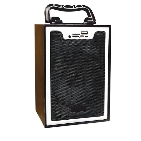 Portable Wooden Bluetooth Speaker 10W – Super Bass,