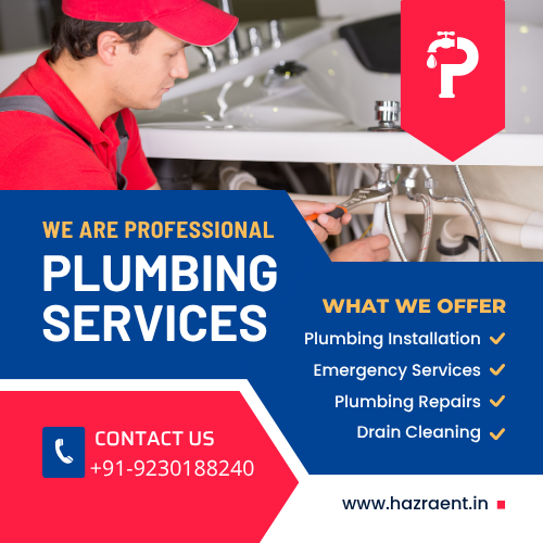 Professional Plumbing Services